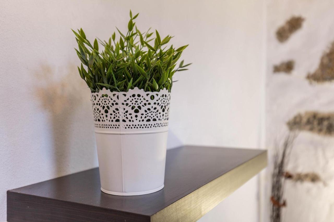 Eden Ecologico En Casa La Fuentita Apartamento El Charco  Exterior foto
